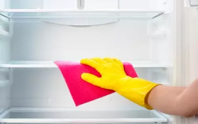 Easy KitchenAid Fridge Repair Solutions for Spring